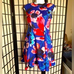 NWOT Vince Camuto Blue Red Floral A-Line Dress Size 2